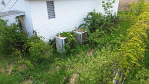 Picture provided by Luke LaRock 06/24/2026